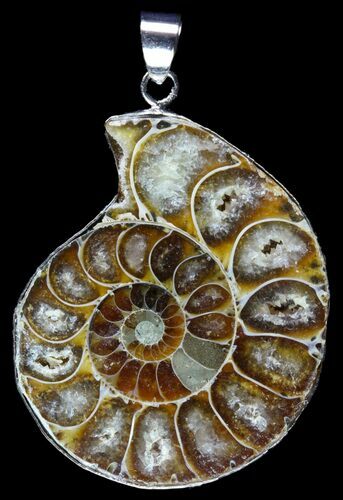 Fossil Ammonite Pendant - Million Years Old #89872